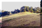meadow_view_web.jpg (8752 bytes)