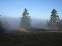 Ranch in Fog Heinz Moser